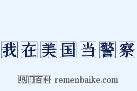 我在美国当警察是什么意思的图片